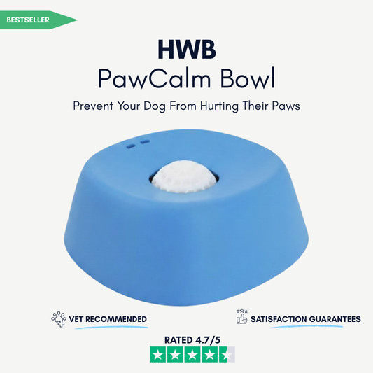 PawCalm Bowl